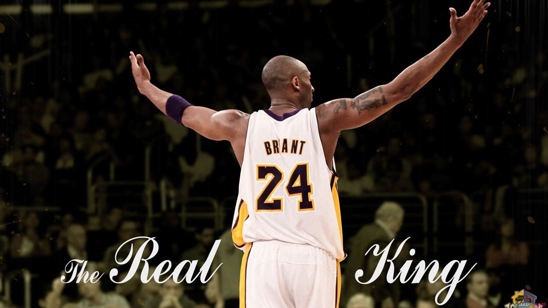 世界杯盛宴继续：动人瞬间不断！，世界杯盛况